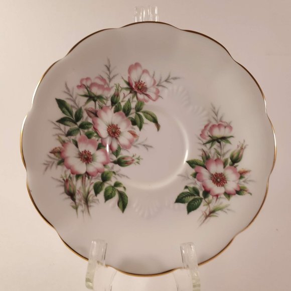 Vintage RARE Alberta Wild rose by Royal Albert teacup and saucer - Picture 2 of 9